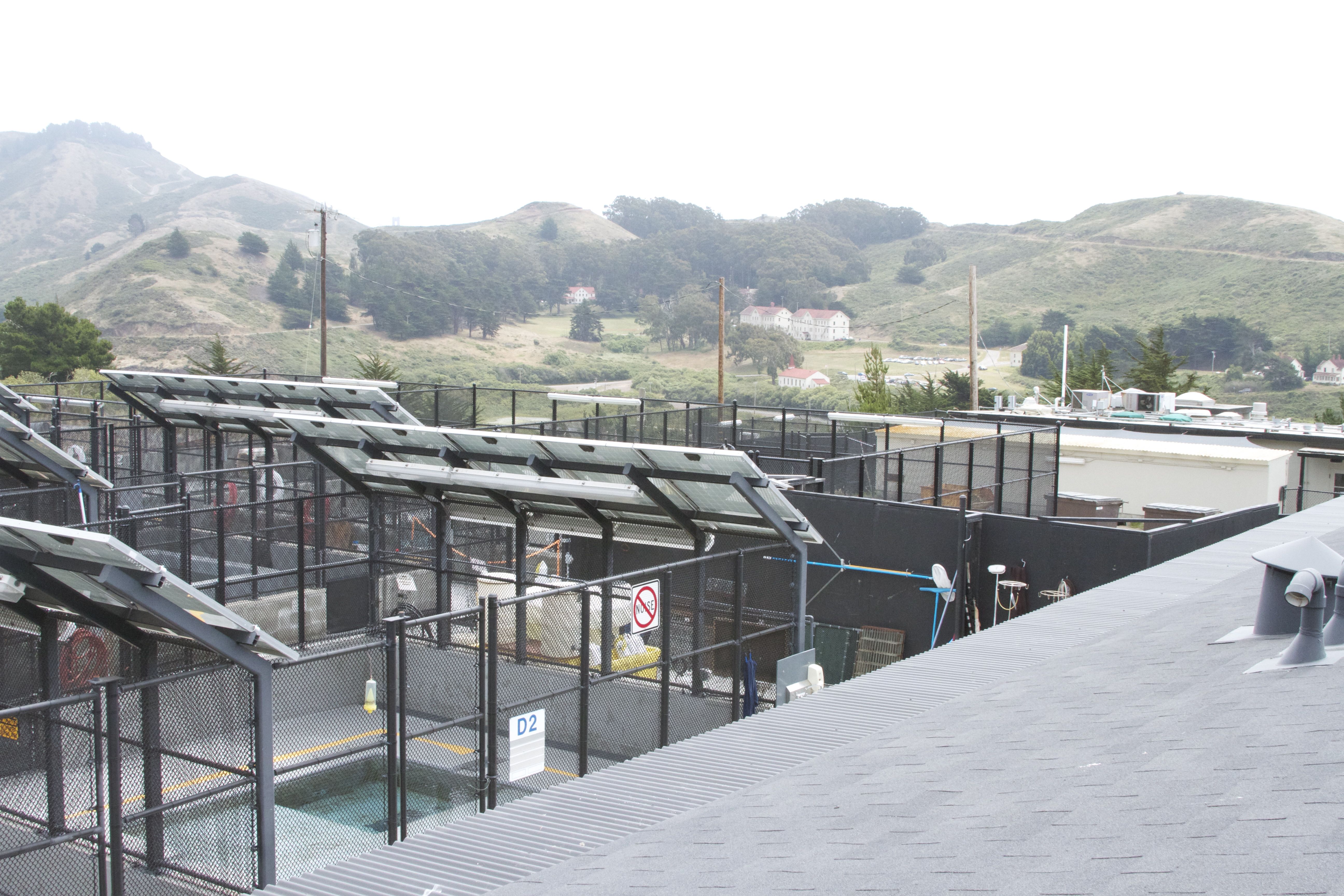 Marine Mammal Center