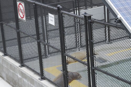 Marine Mammal Center