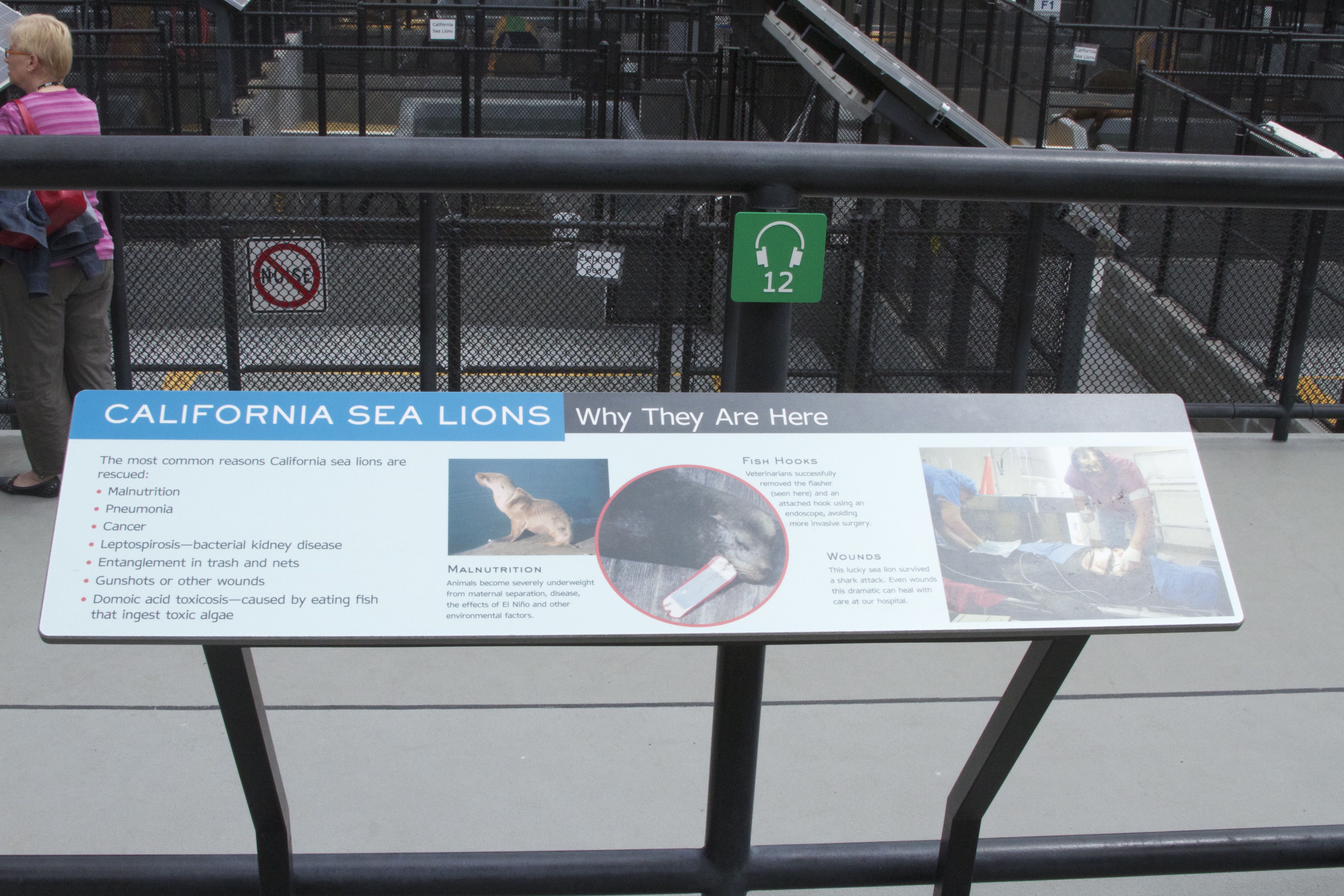 Marine Mammal Center