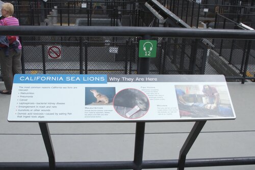 Marine Mammal Center