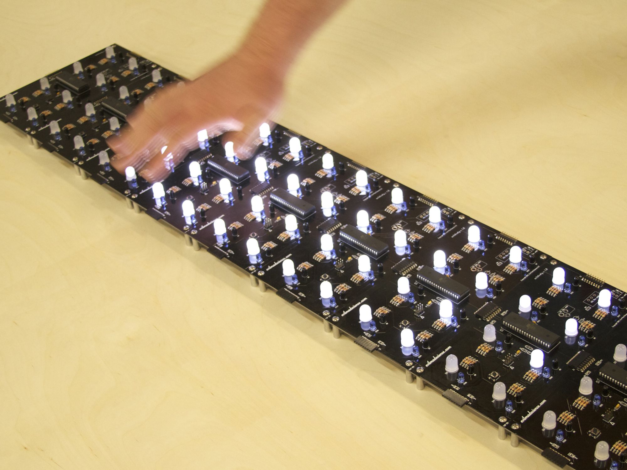 Octolively: Long array, diffused-white LEDs