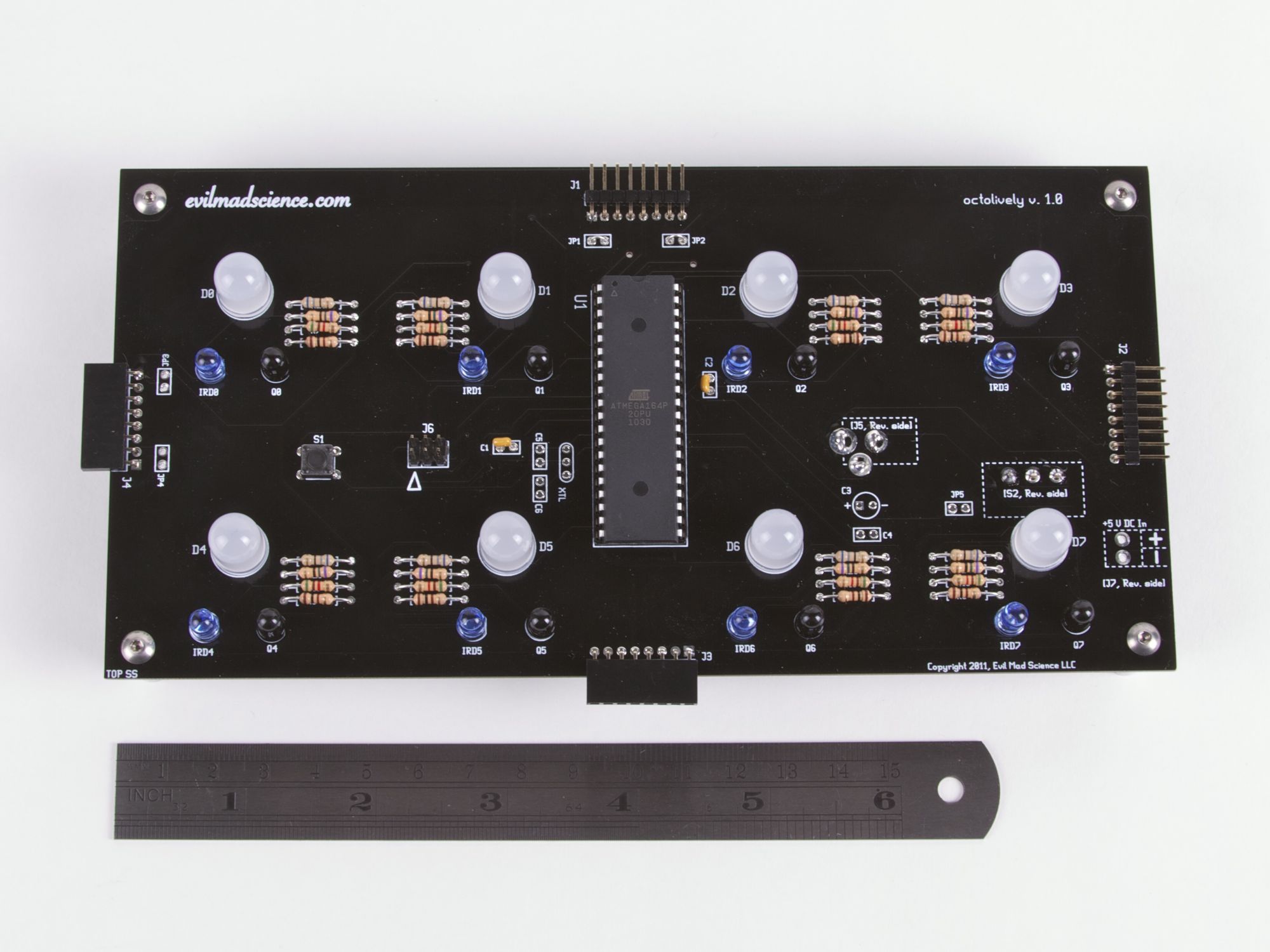 Octolively: single unit, with ruler