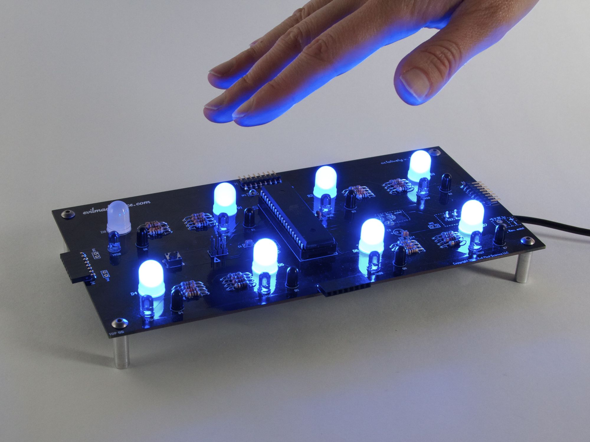 Octolively, with blue LEDs