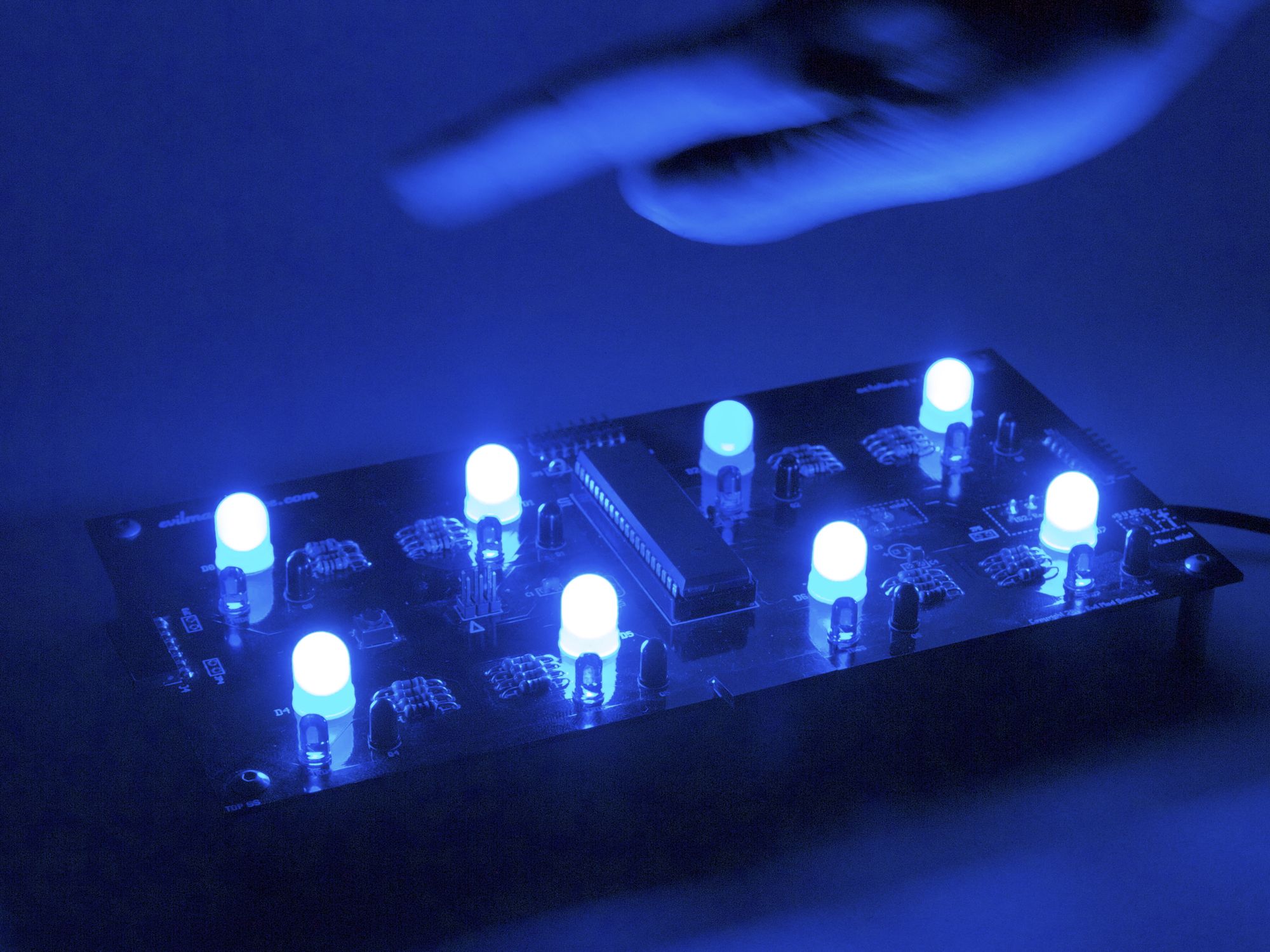 Octolively- Intense, with blue LEDs