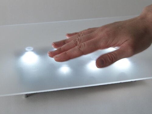 Octolively, under frosted surface-2