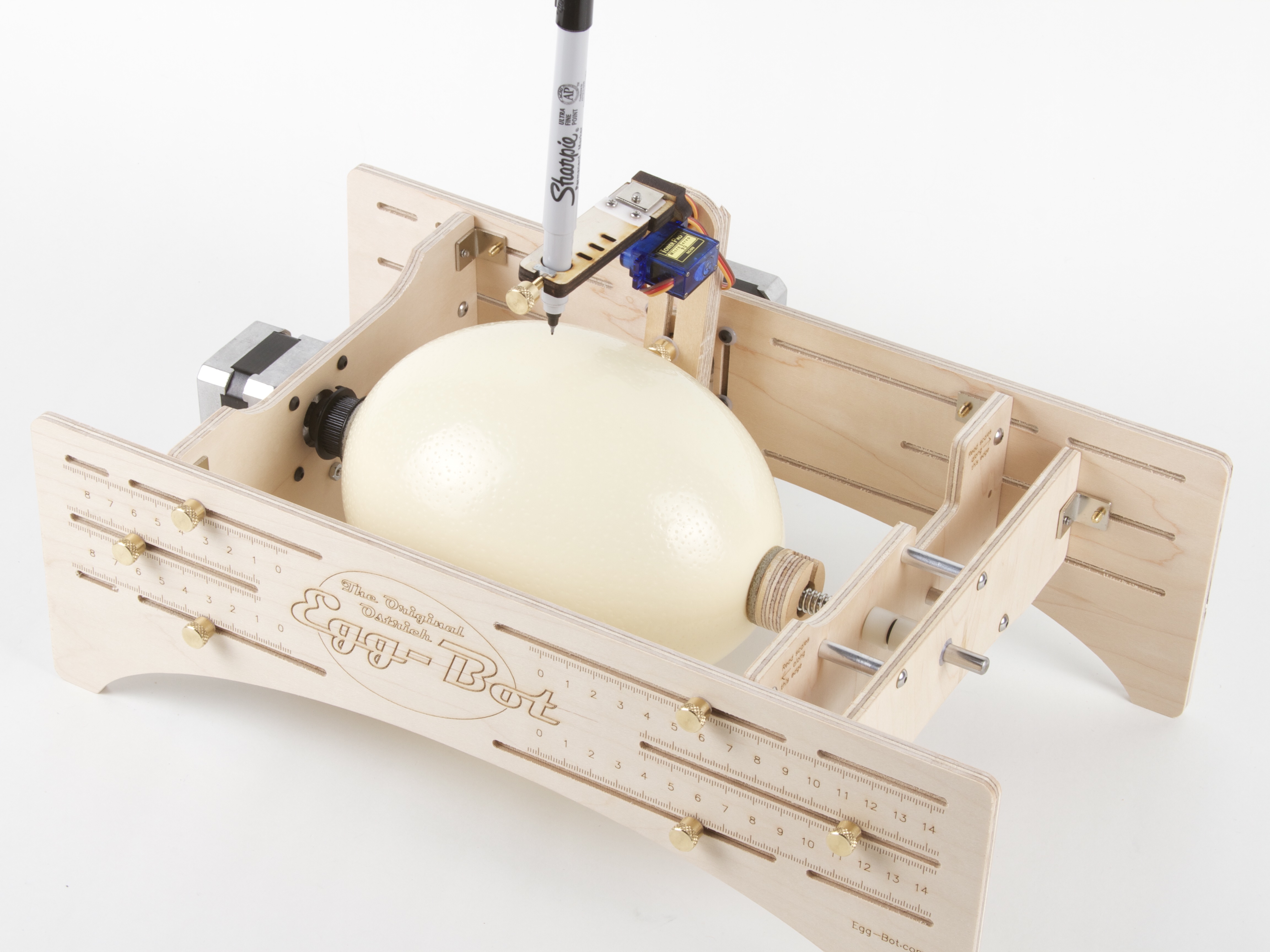 ostrich egg in ostrich eggbot