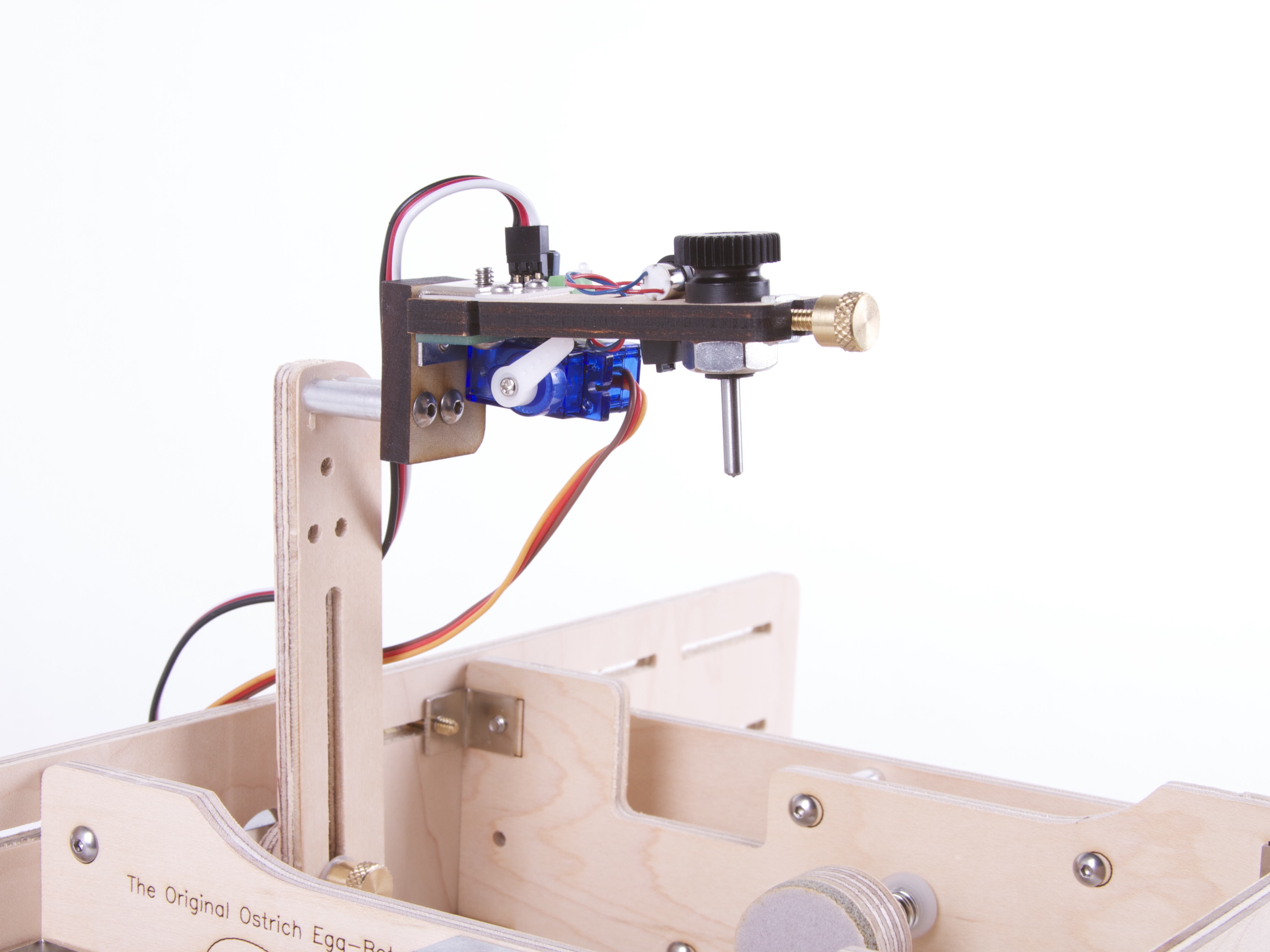 Ostrich Eggbot with Engraver