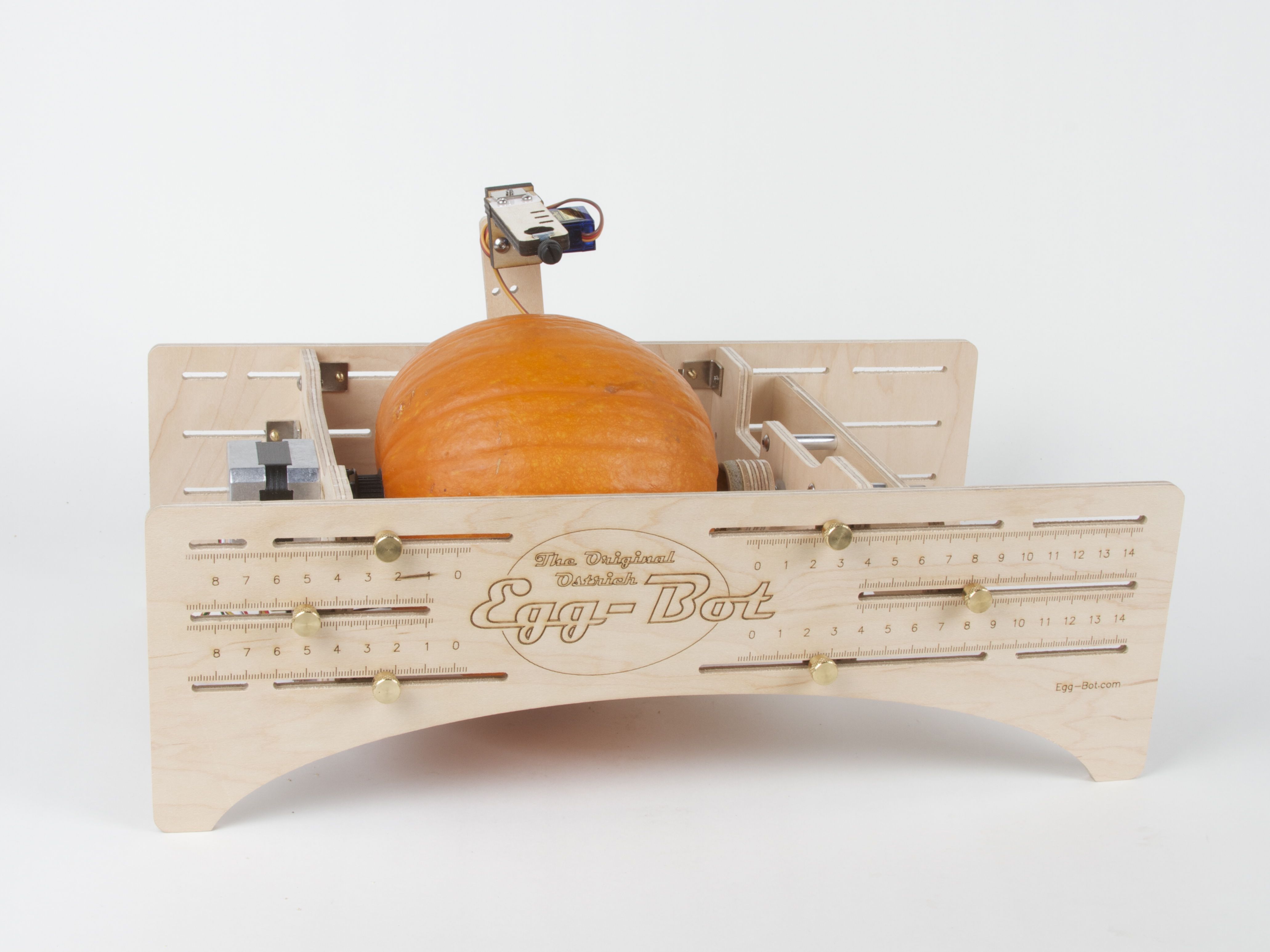 Pumpkin in ostrich Eggbot