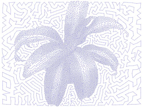 plant10kpath_nocutoff2