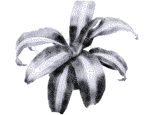 plant10k_readyforsaving