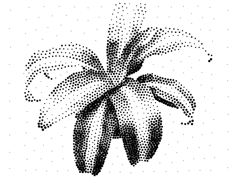 plant, 2000 black stipples