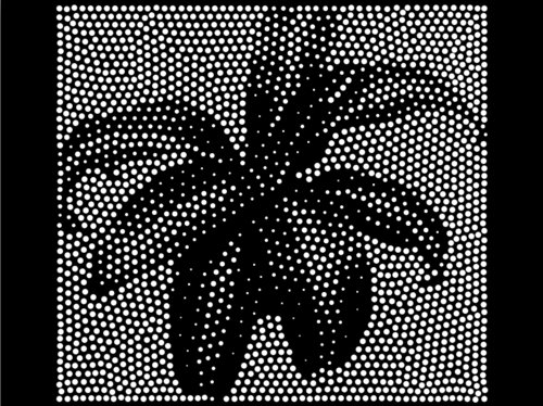 plant, 2000 white stipples