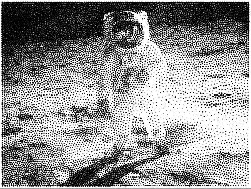 apollo - 10,000 black stipples