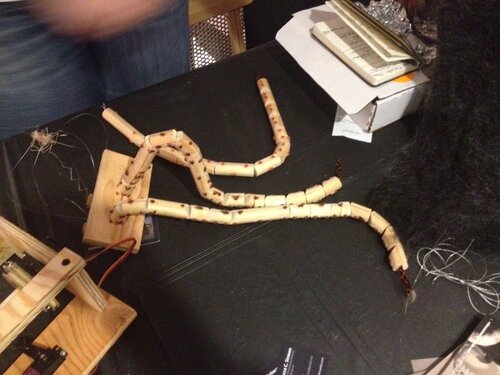 arms without their felt cover