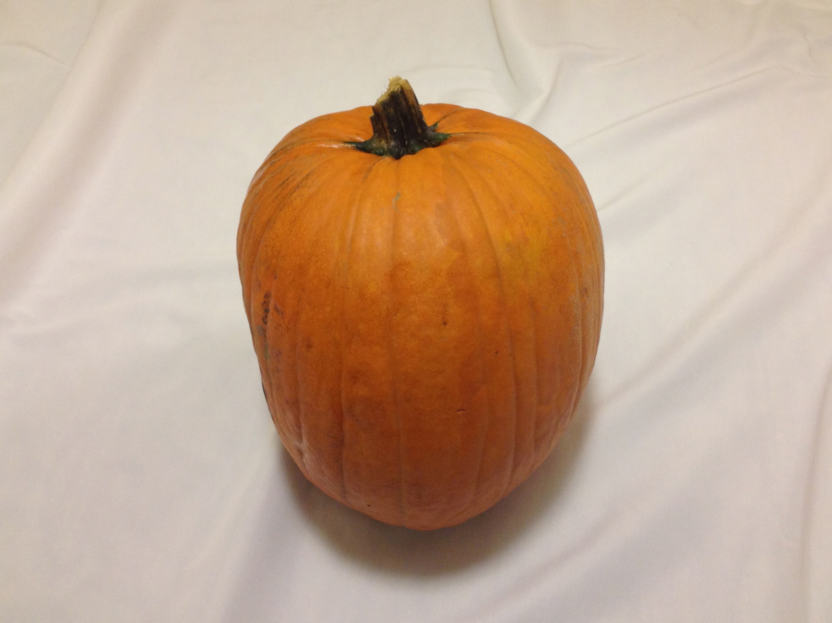 Appropriately shaped pumpkin