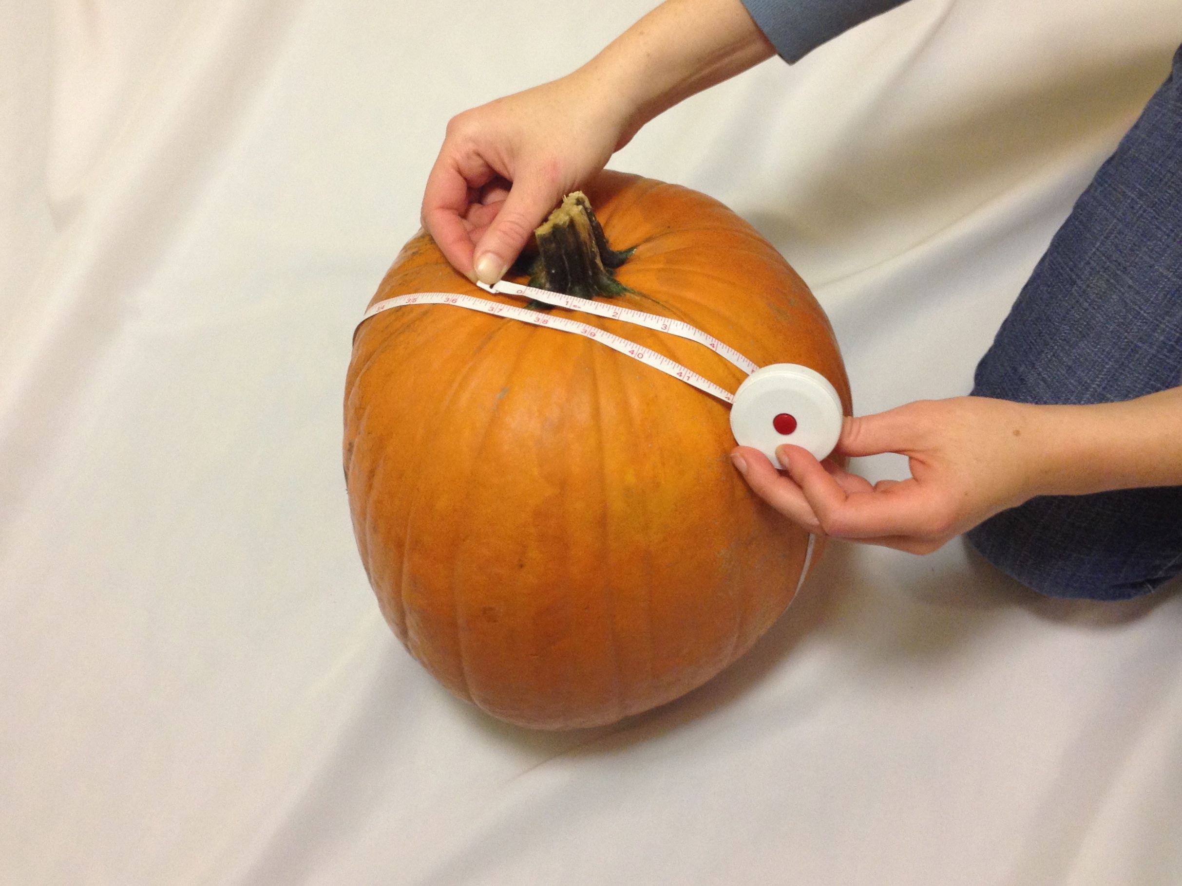 Measuring pole to pole circumference