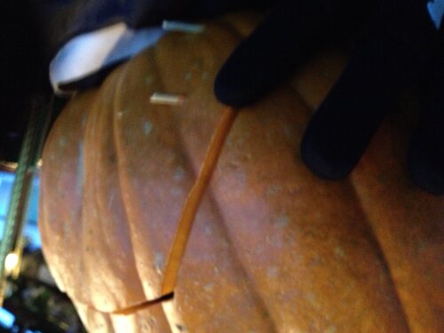 attaching back section with skewers