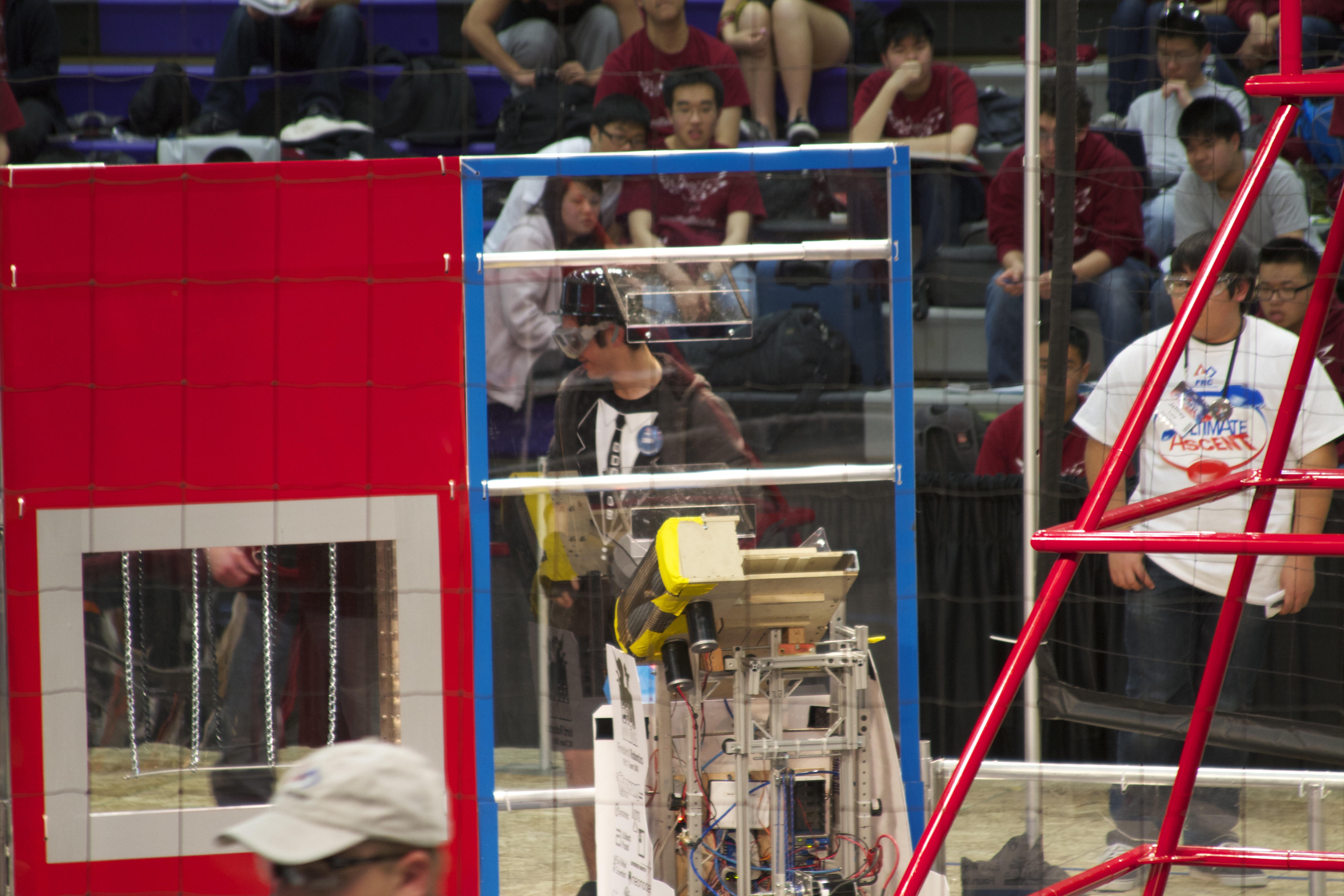 at the feeder station