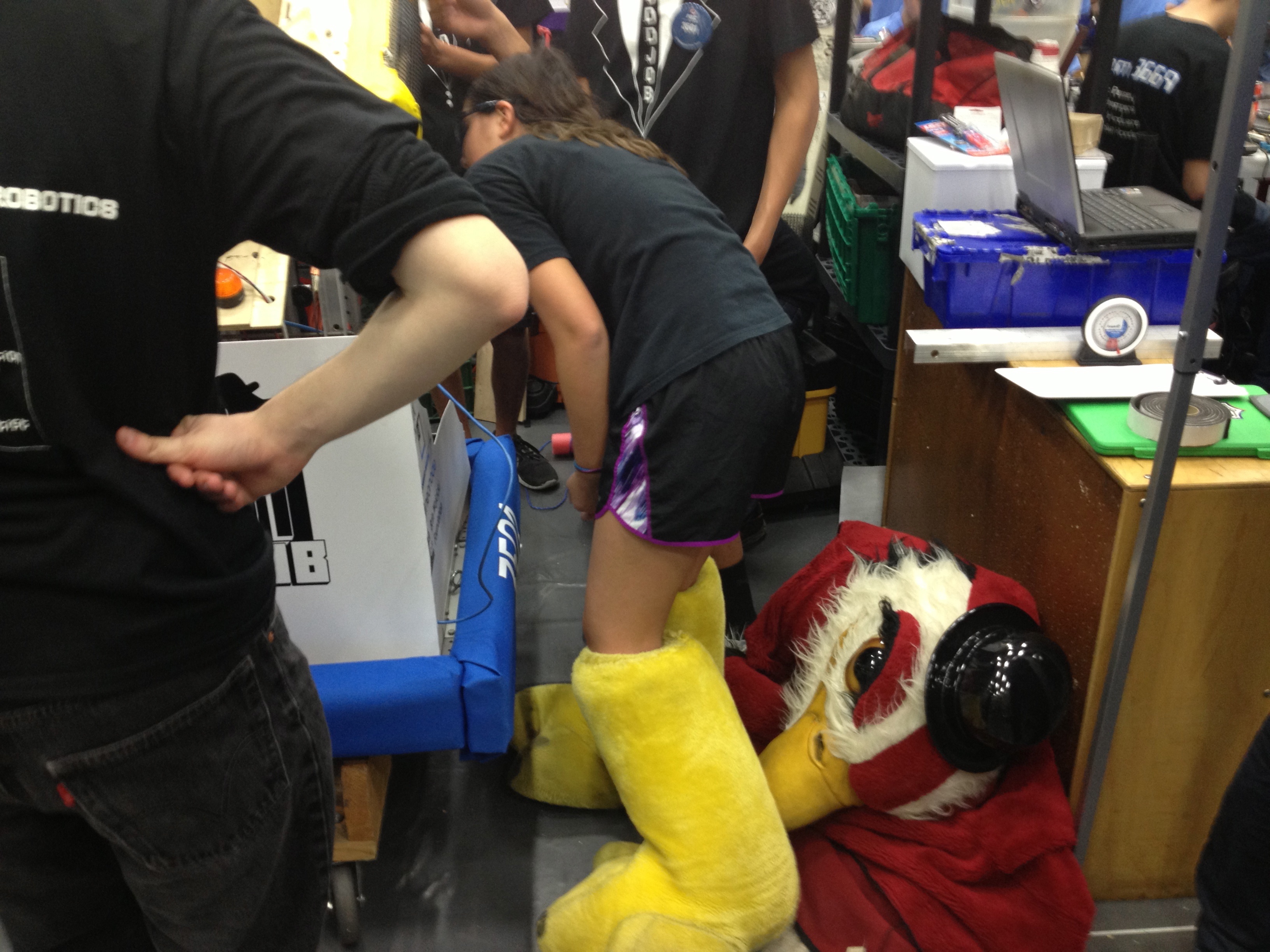 mascot working in the pit