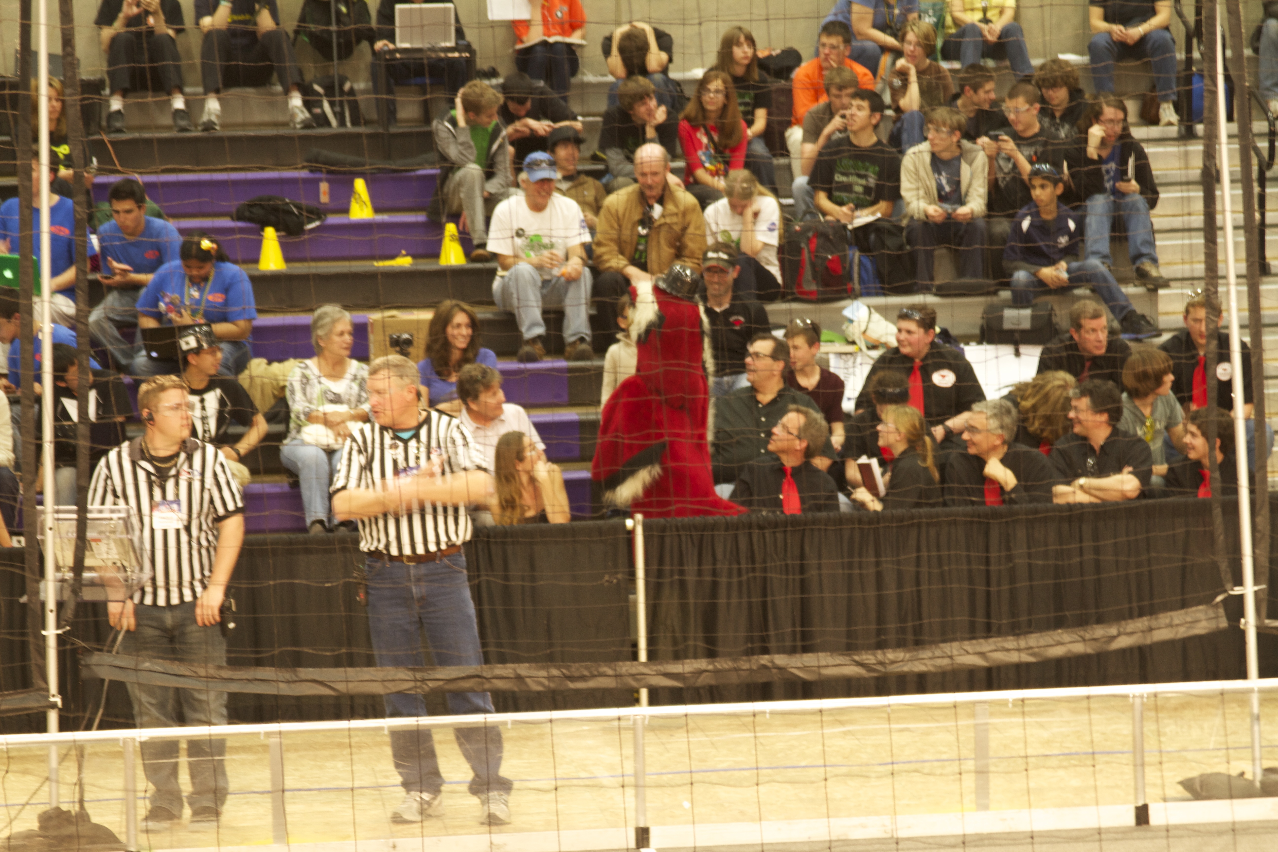 refs and firebird mascot