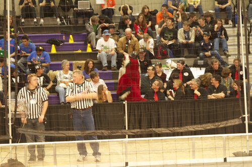 refs and firebird mascot