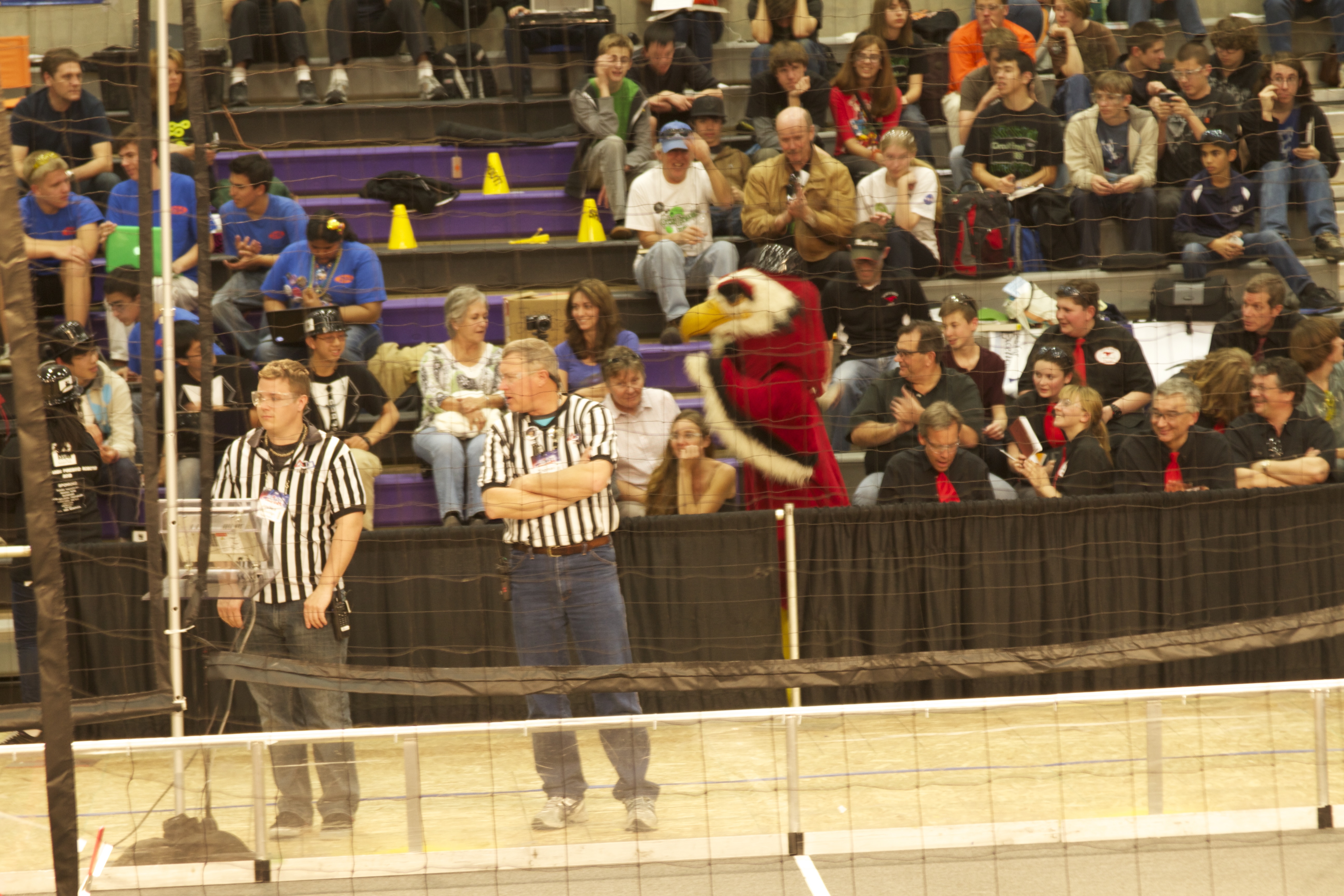 refs and firebird mascot