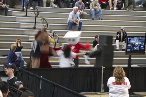mascots dancing