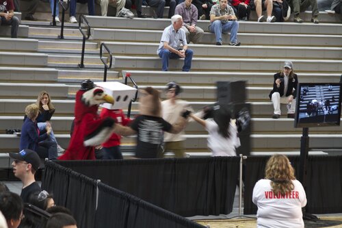 mascots dancing