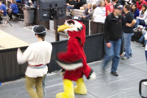 mascots: pirate and firebird