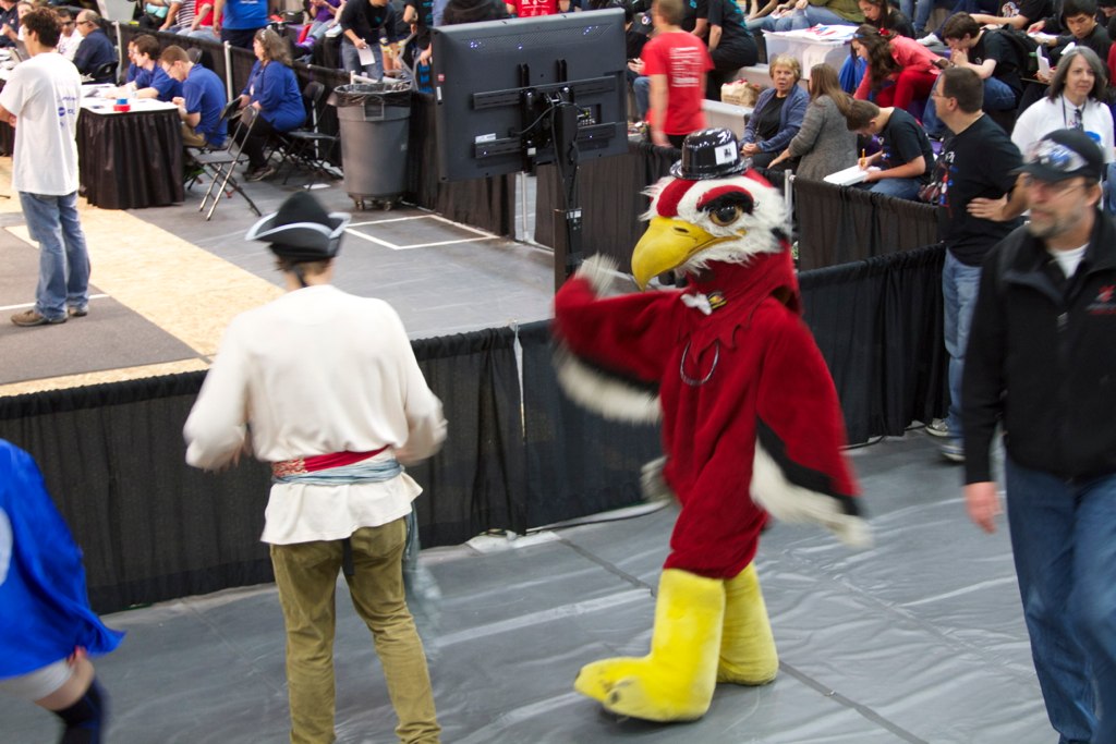 mascots: pirate and firebird