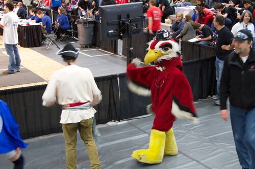 mascots: pirate and firebird