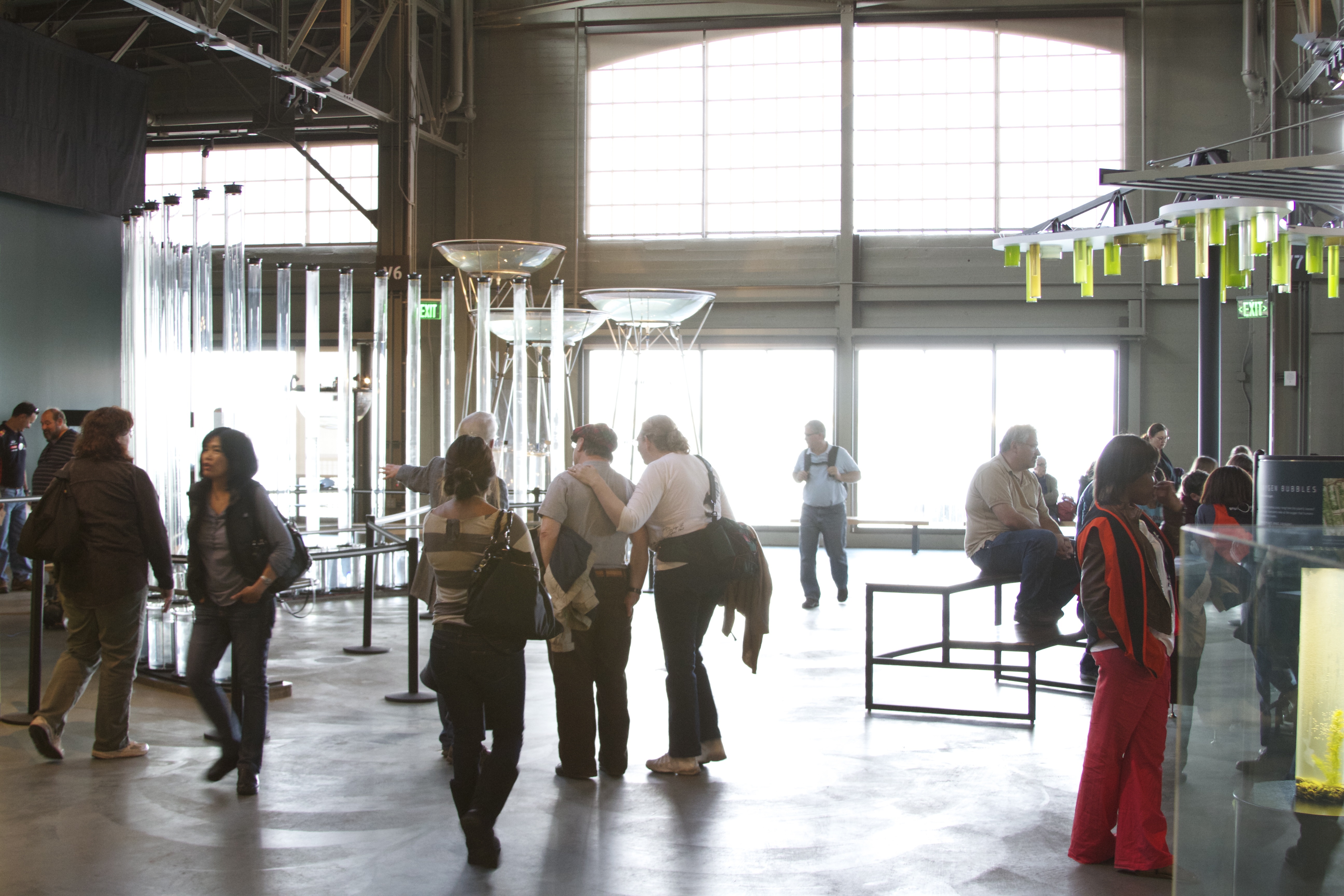 Bay water exhibits over the bay