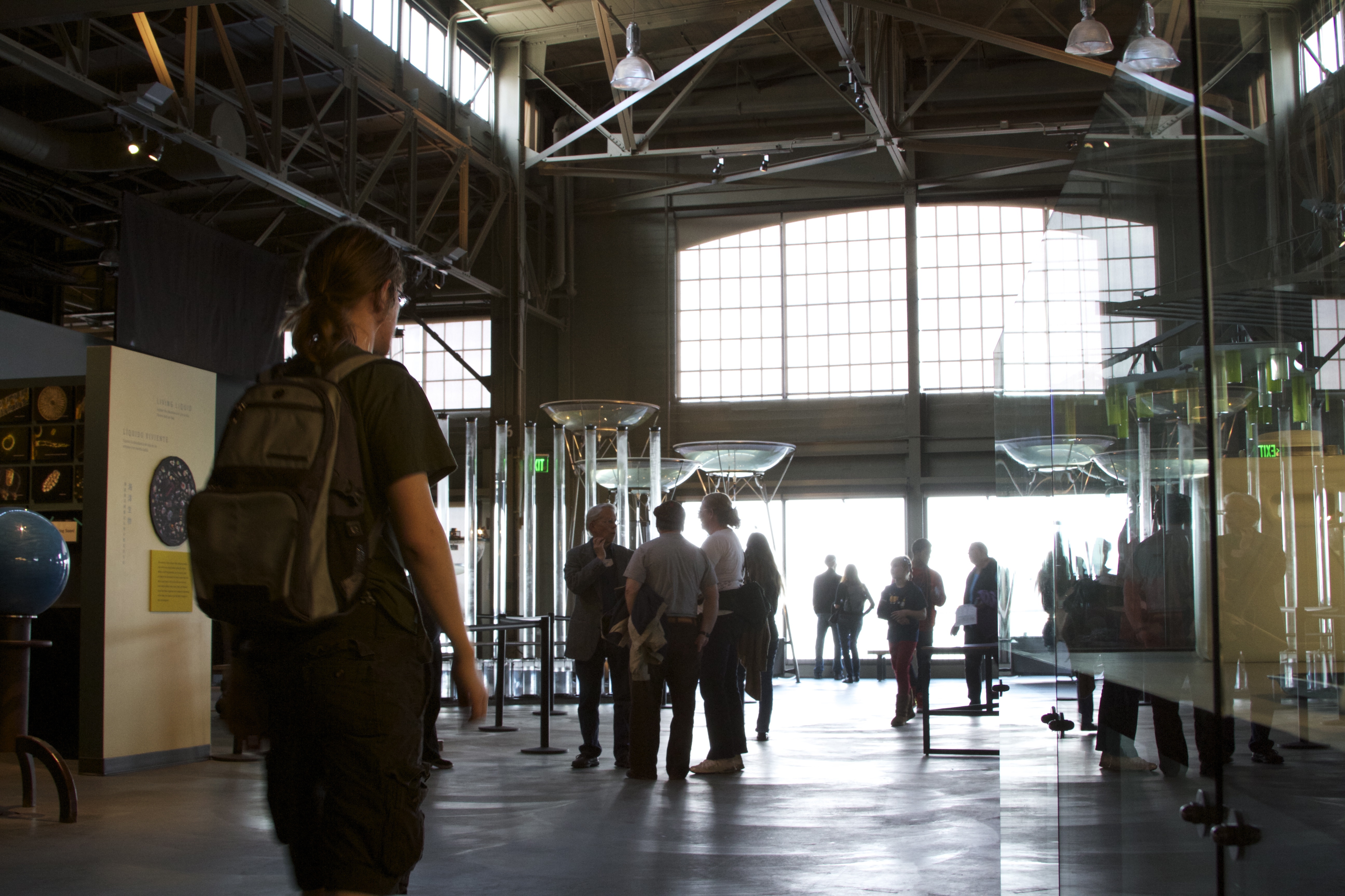 Bay water exhibits over the bay