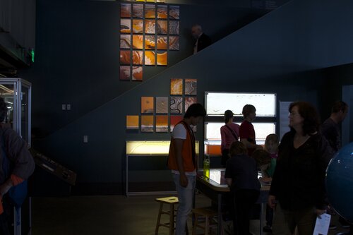 Saltwater exhibits and photographs