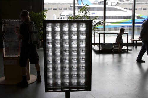 Vision and perception