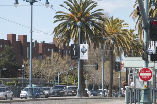 Exploratorium Banners on the Embarcadero