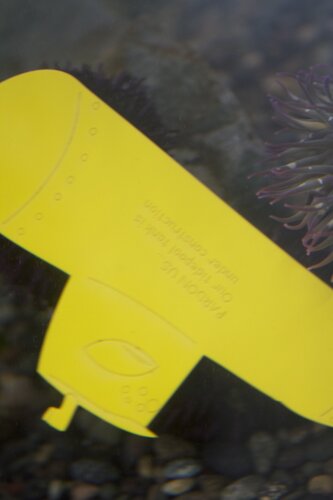 Yellow Submarine with sea urchin