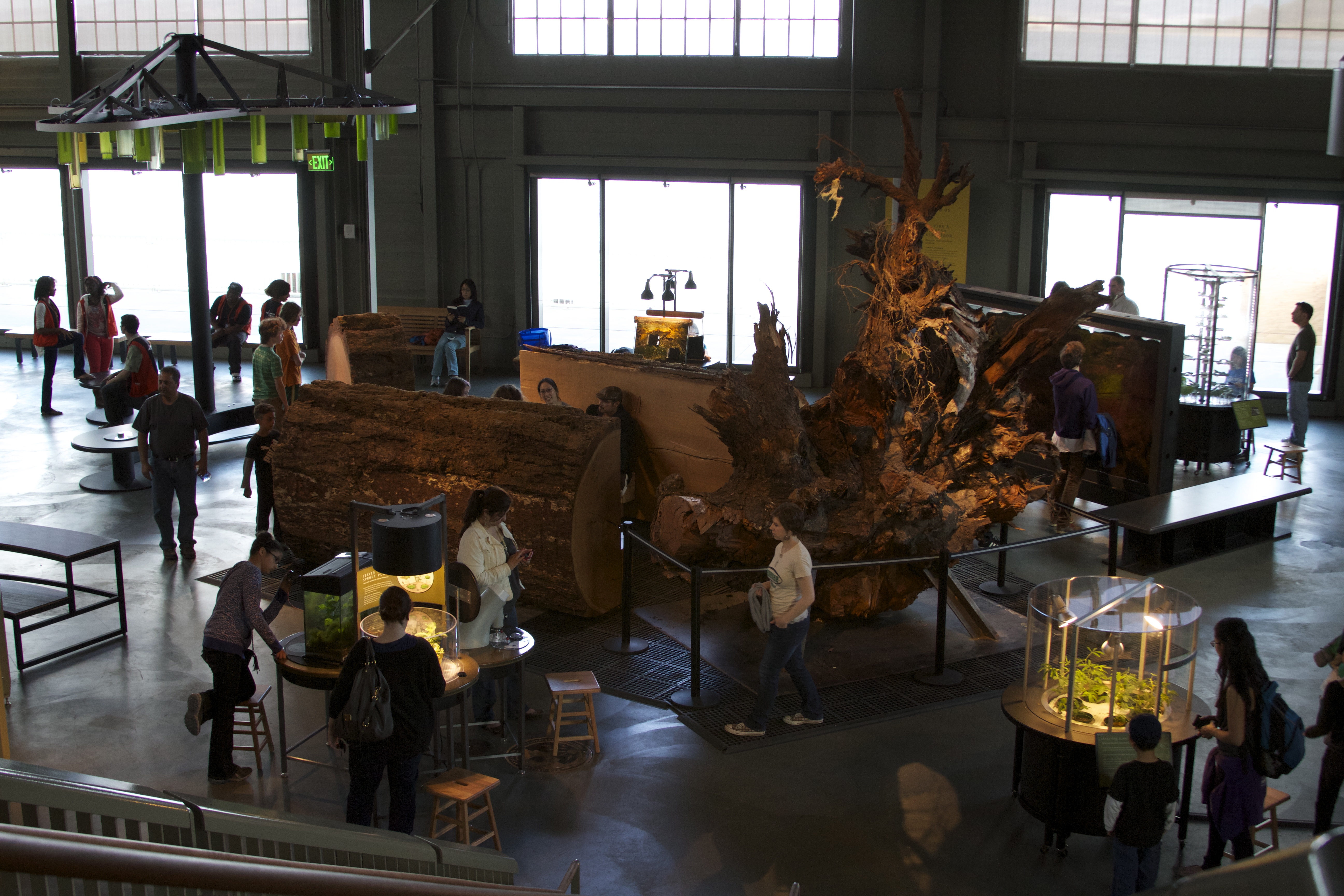 Looking down on plants and water exhibits