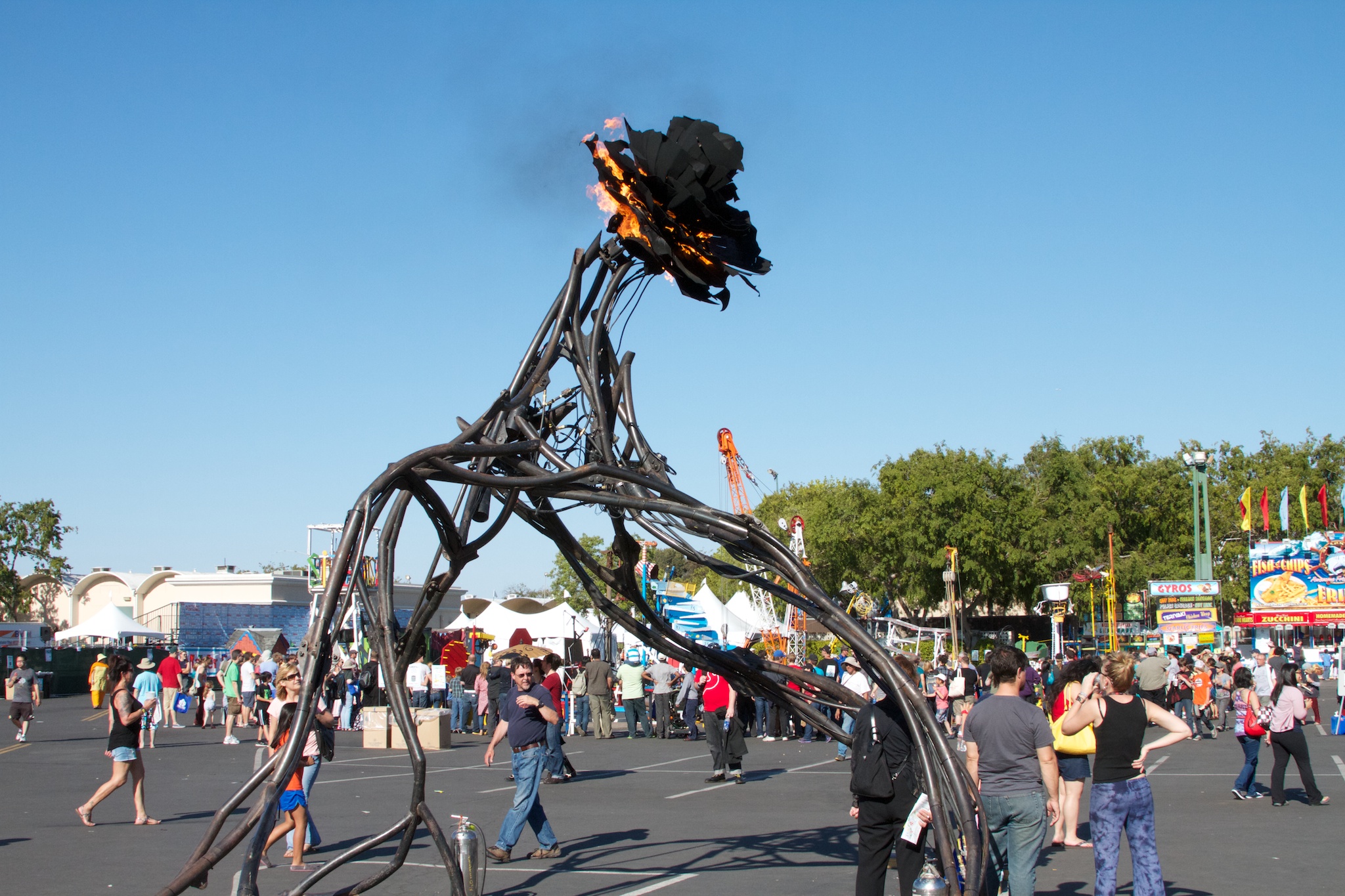 MFBA 2013 350