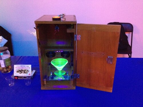 Schroedinger's Martini