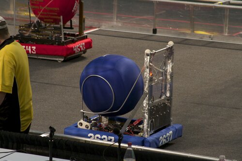 Looks like a cute snail