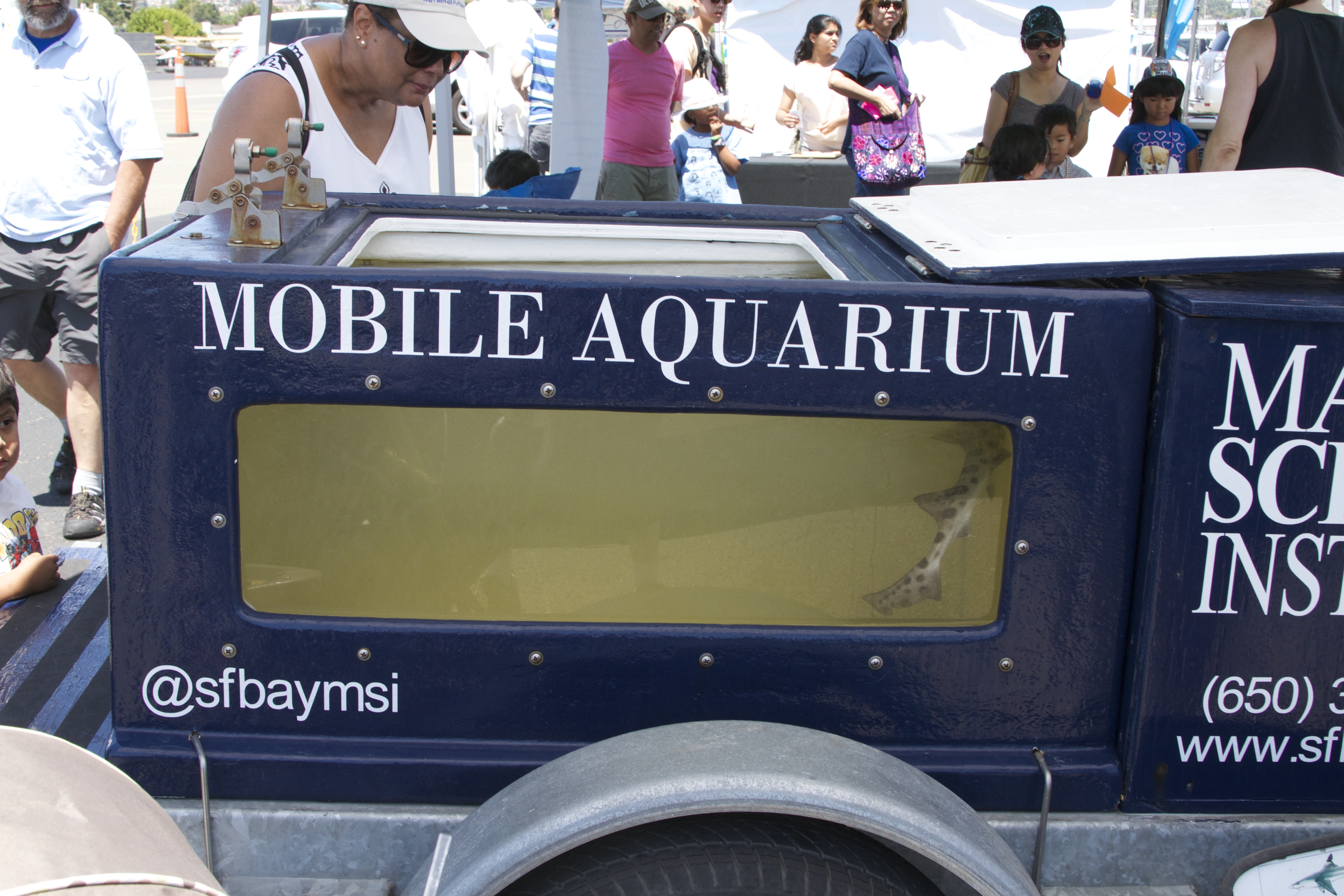mobile shark tank