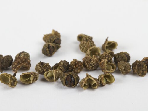 sichuan pepper