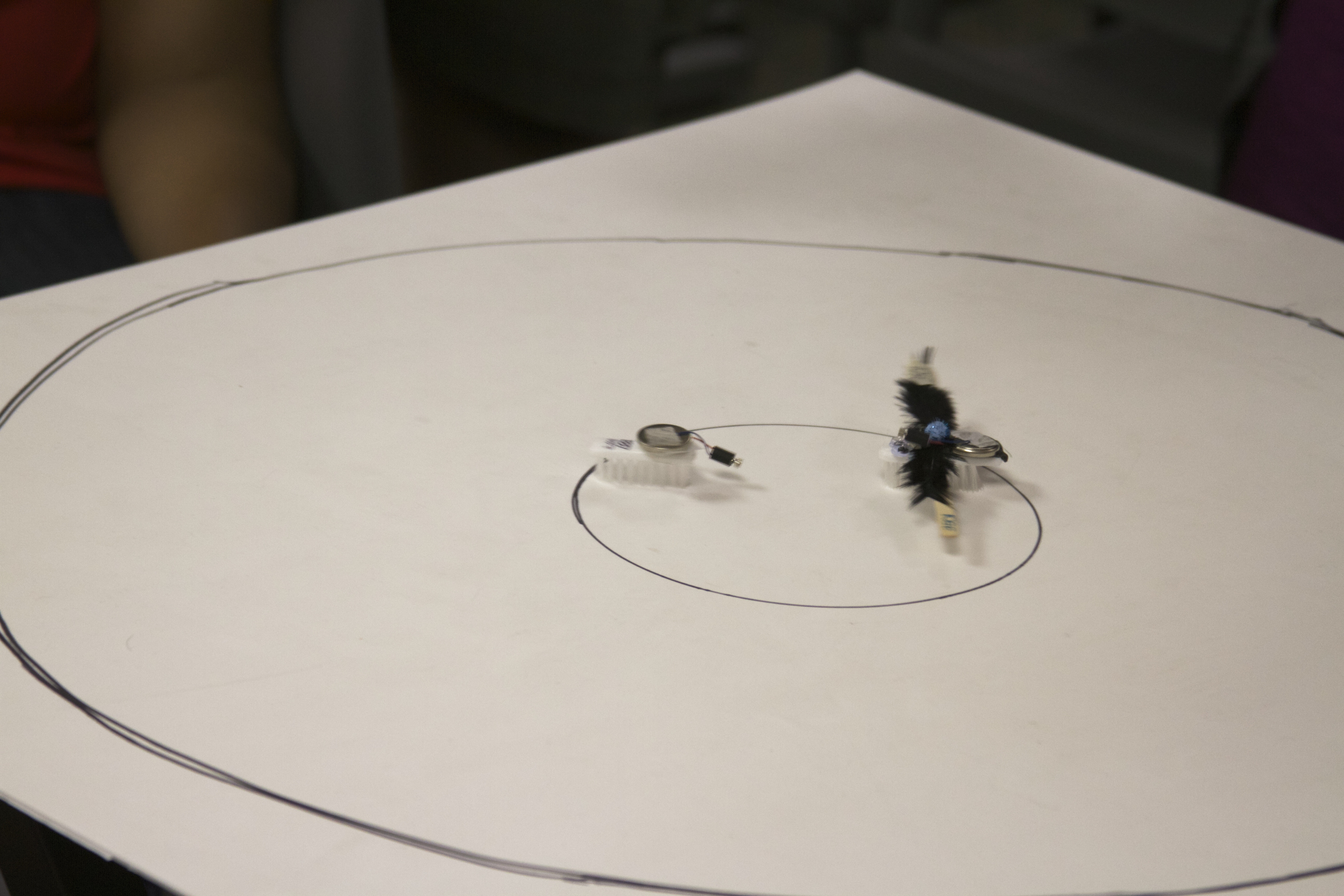 Sumo match in progress