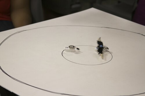 Sumo match in progress