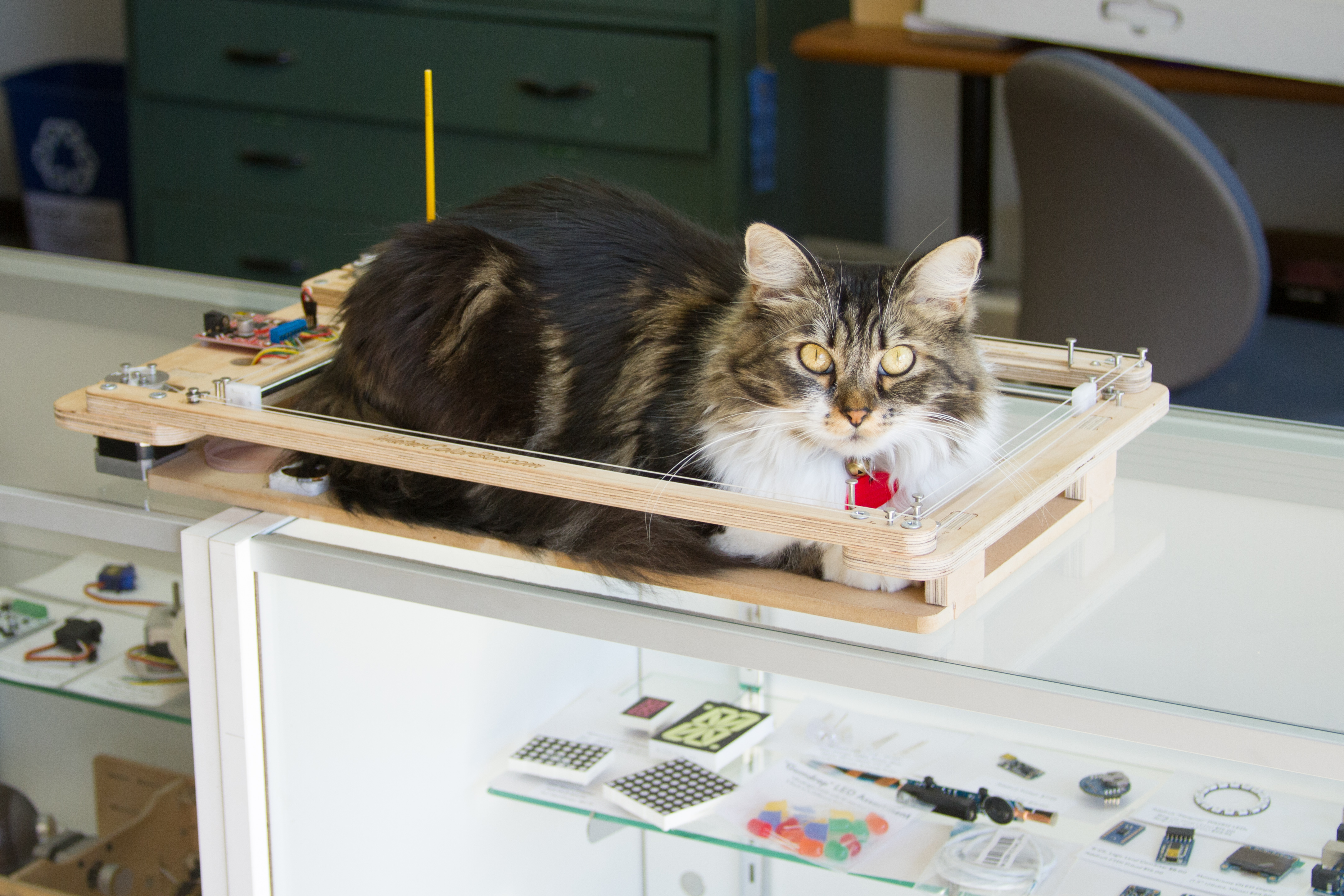 Zener and the WaterColorBot