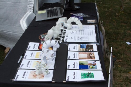 3D printed anatomical display wall