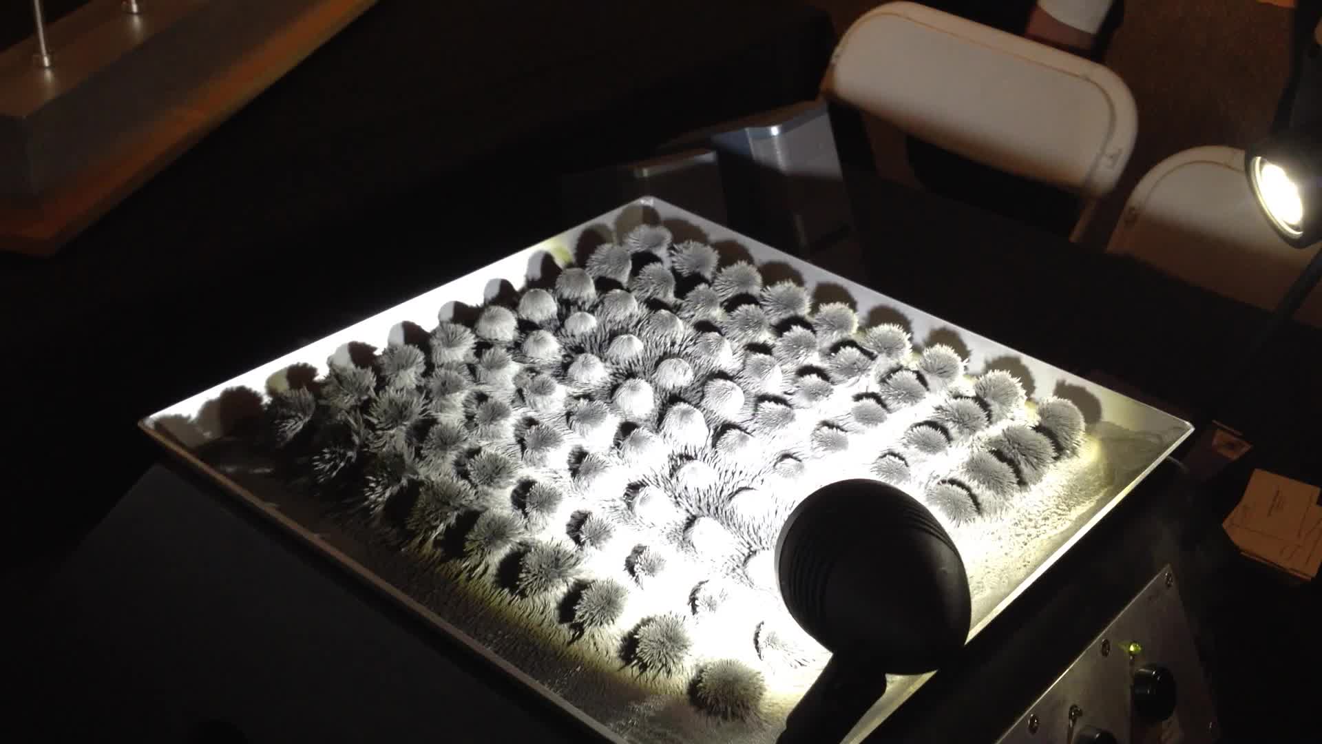 musical magnetic fields