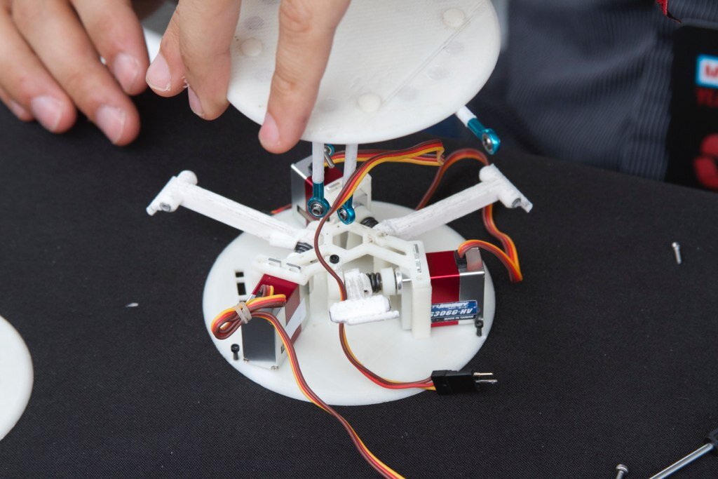 Gertie the jumping robot