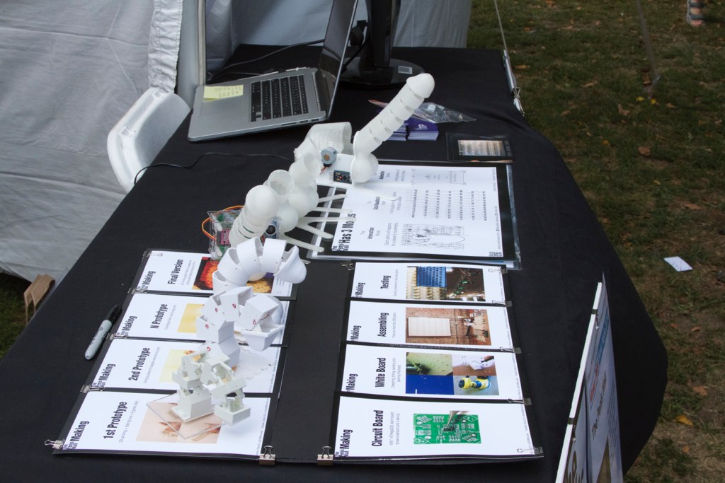 3D printed anatomical display wall